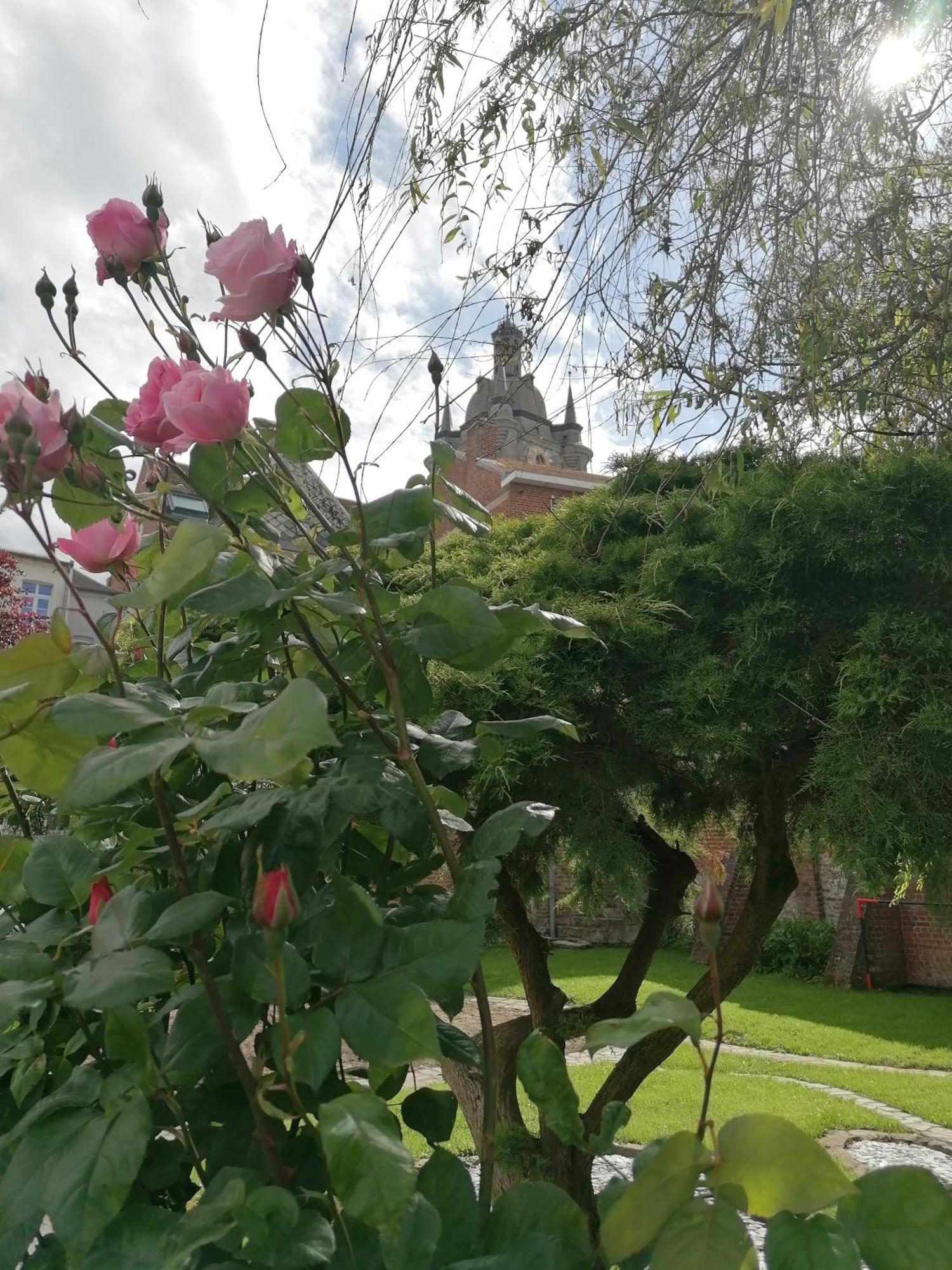 Le Relais Napoleon Bed & Breakfast Avesnes-sur-Helpe Dış mekan fotoğraf
