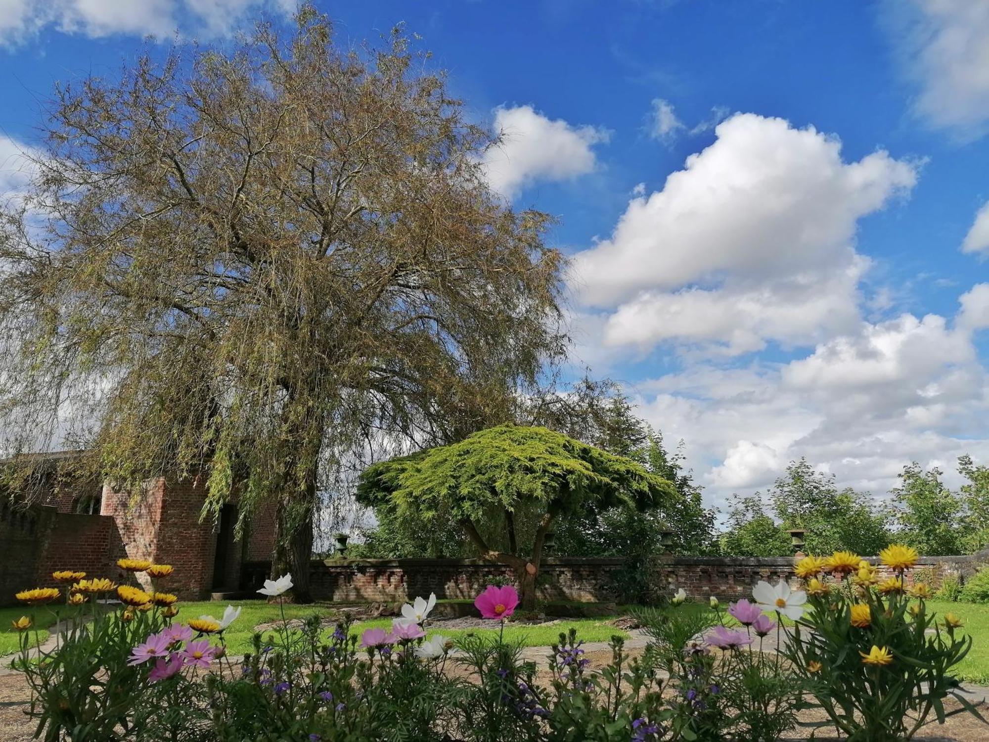 Le Relais Napoleon Bed & Breakfast Avesnes-sur-Helpe Dış mekan fotoğraf